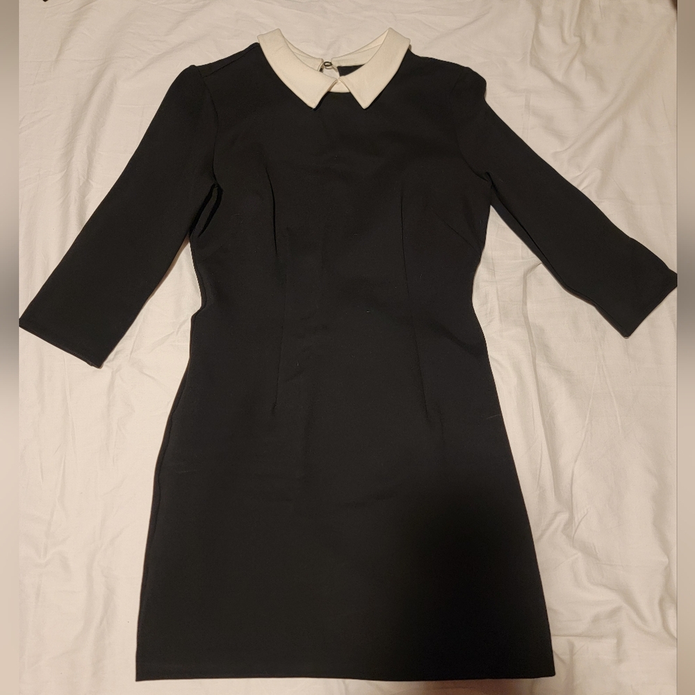 Elegant Black Dress with White Collar